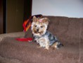 /album/andy/a100-0424-jpg/