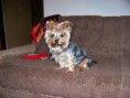 /album/andy/a100-0425-jpg/